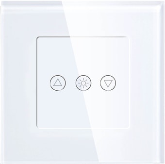Выключатель Hiper IoT Dimmer WT01G
