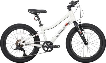 Детский велосипед Maxiscoo 3bike 20 L 2025 MSC-M3-2003 (серый, разобранный)