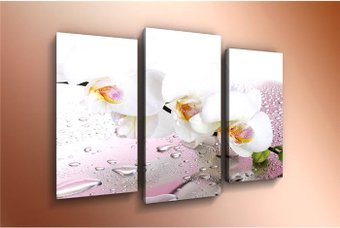 Модульная картина Arthata m-000584 120x80