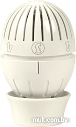 Термоголовка Giacomini R470X001 (с датчиком)