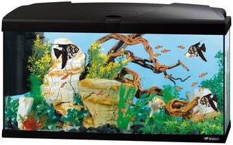Аквариум Ferplast Capri 80 Led 100 л (черный)