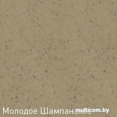 Кухонная мойка Zigmund & Shtain Kreis 505F (молодое шампанское)