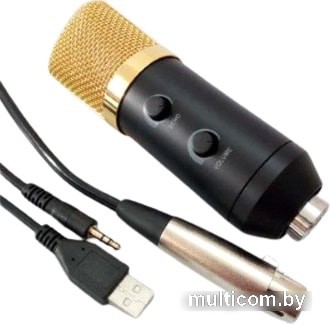 Микрофон Biema BM750