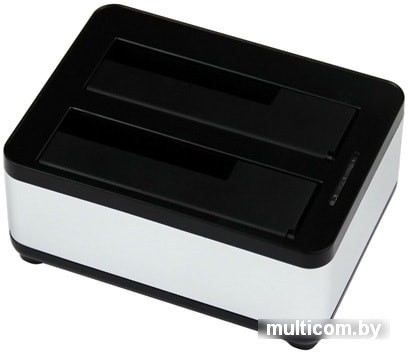 Бокс для жесткого диска AgeStar 3UBT8 (серебристый/черный)