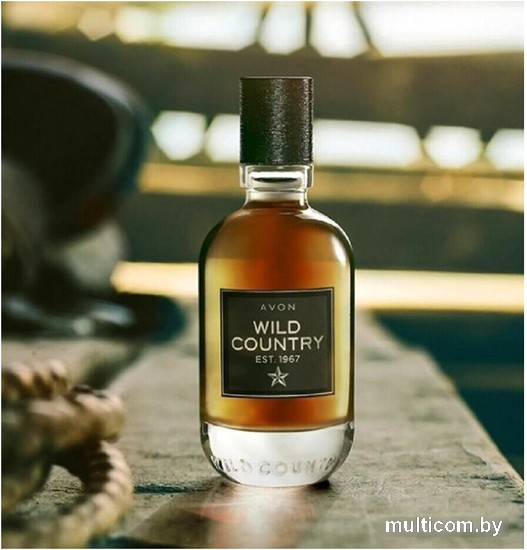 Туалетная вода Avon Wild Country Spirit EdT (75 мл)