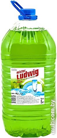 Средство для мытья посуды Romax Mister Ludwig Яблоко (5 л)