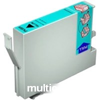 Чистящий картридж Epson C13T642000