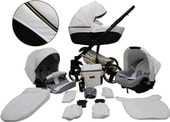 Универсальная коляска Ray Ray Ultra Gold (2 в 1, 31)