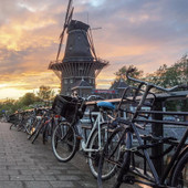 Картина Stamprint Лейден ST027 (50x50)