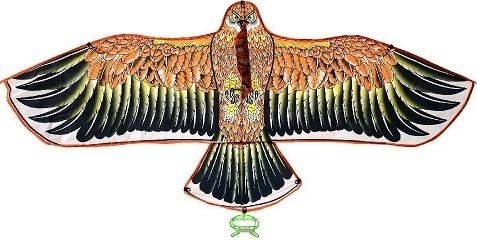 Воздушный змей Ausini VT20-10412