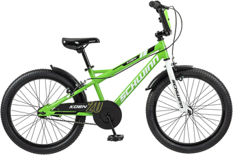 Детский велосипед Schwinn Koen 20 2022 S1748RUC (зеленый)