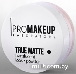 Рассыпчатая пудра PROMAKEUP True Matte прозрачная тон 1001 (10 г)