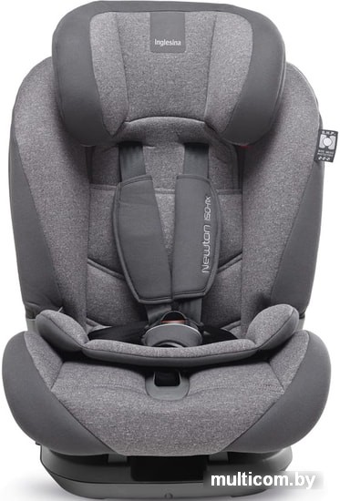 Детское автокресло Inglesina Newton ifix (серый)