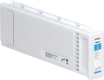 Картридж Epson C13T891200