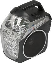 Радиоприемник Ritmix RPR-505