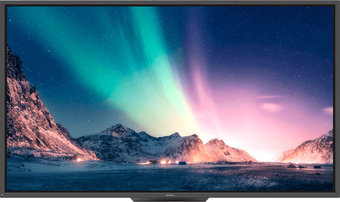 Интерактивная панель Newline TT-8620HO