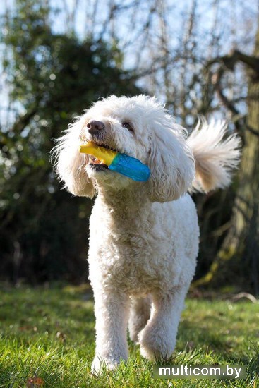 Игрушка для собак Rosewood Кость охлаждающая 02230/RW