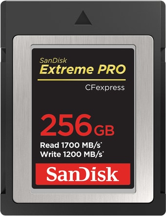 Карта памяти SanDisk Extreme Pro CFexpress Type B SDCFE-256G-GN4NN 256GB