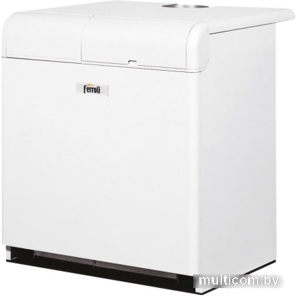 Отопительный котел Ferroli Pegasus 56