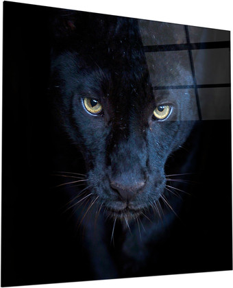 Картина на стекле ArtaBosko LM-02-36-03 (40x40)