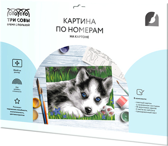 Картина по номерам Три совы Голубоглазый пушистик КК_44043