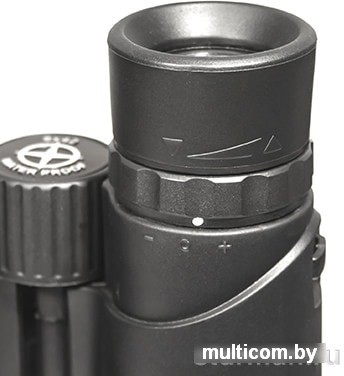 Sturman 10x42 WP 3416 (черный)