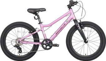 Детский велосипед Maxiscoo 5bike 20 L200 2025 MSC-M5-2013 (розовый сапфир, разобранный)