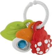 Сортер Chicco Baby Senses Nature Friends 00009709000000