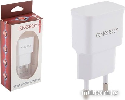 Сетевое зарядное Energy ET-09 (белый)