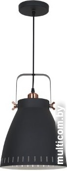 Лампа Camelion New York PL-428L (черный)