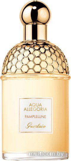 Guerlain Aqua Allegoria Pamplelune EdT (75 мл)