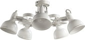Люстра Arte Lamp Martin A5216PL-5WG