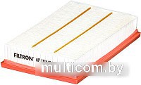 Воздушный фильтр Filtron AP183/6