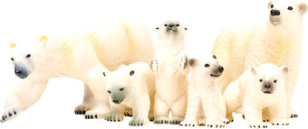 Набор фигурок Masai Mara Мир морских животных ММ203-013