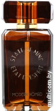State of Mind Modern Nomad EdP (100 мл)
