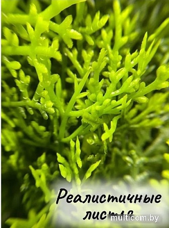 Искусственное растение Merry Bear Home Decor Туя трапецевидная KA0037