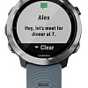 Умные часы Garmin Forerunner 645 (бежевый)