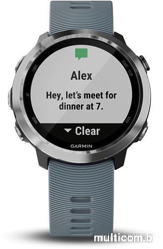 Умные часы Garmin Forerunner 645 (бежевый)