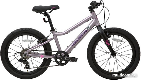 Детский велосипед Maxiscoo 5Bike 20 L 2024 (розовый сапфир)