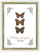 Фоторамка Палитра 12/602 35x45 (белый)