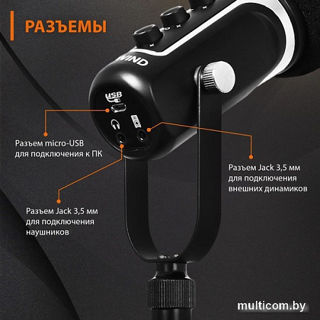 Проводной микрофон SunWind SW-SM500G
