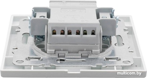 Выключатель EKF Basic Минск ERV10-024-10