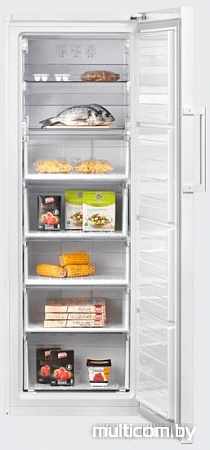 Морозильник BEKO RFSK266T21W