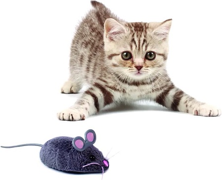 Игрушка для кошек Hexbug Мышка Уайт (белый)