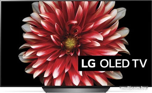 Телевизор LG OLED55B8