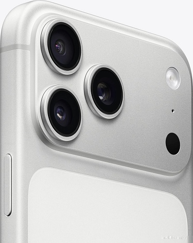 Телефон Apple iPhone 17 Pro Max Dual SIM 256GB (серебристый)