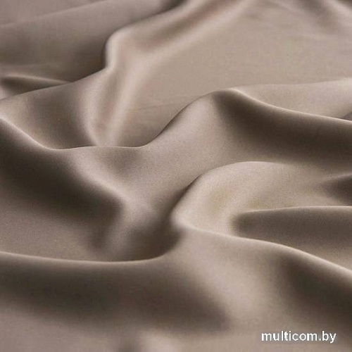 Комплект штор Pasionaria Блэкаут 340x260 с подхватами (бежевый)