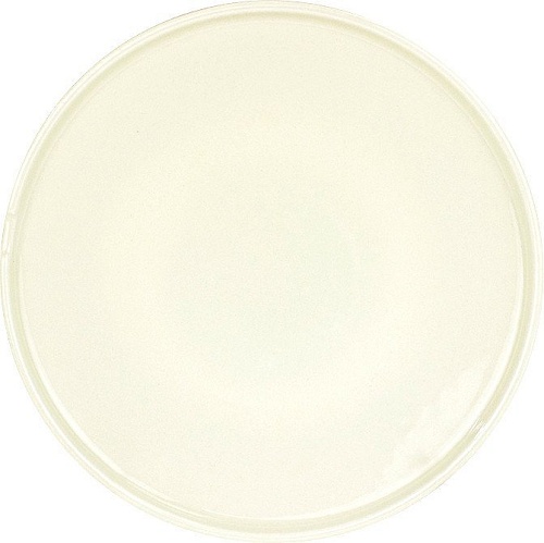 Тарелка обеденная Kutahya Chef Taste Of BNCTO19DU00