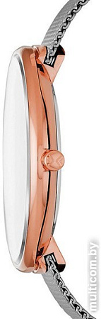 Наручные часы Skagen SKW2584