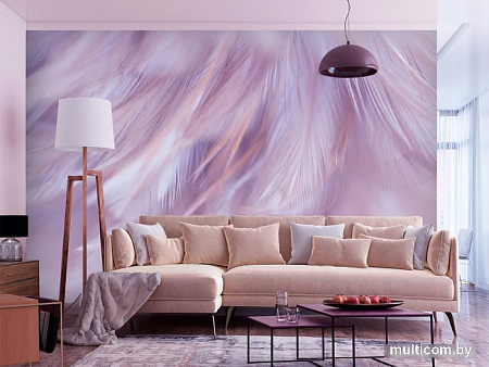 Фотообои Vimala Перья 1 270x400